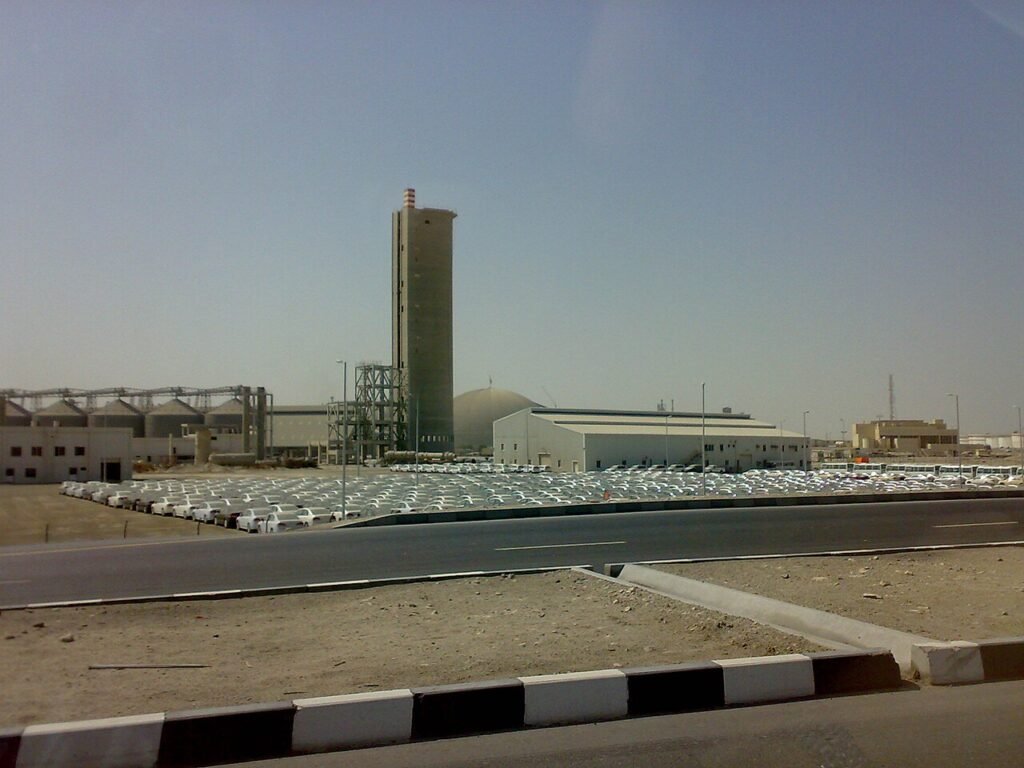Port of Jebel Ali vehicle terminal inside the Jebel Ali Free Zone, one of the UAE free zones whose employers file wages through the federal Wage Protection System