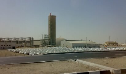 Port of Jebel Ali vehicle terminal inside the Jebel Ali Free Zone, one of the UAE free zones whose employers file wages through the federal Wage Protection System
