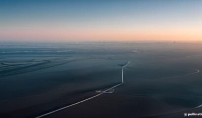 Renewable Energy Licenses UAE Free Zones: A Comparative Guide